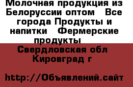 Молочная продукция из Белоруссии оптом - Все города Продукты и напитки » Фермерские продукты   . Свердловская обл.,Кировград г.